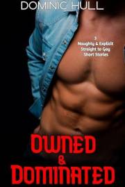 Owned & Dominated: 3 Straight to Gay Short Stories; Spicy Romance Bundle (Straight to Gay; First time MM Romance Book 37)