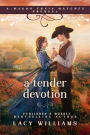 A Tender Devotion: A Wagon Train Matches prequel