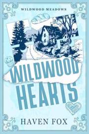 Wildwood Hearts: Grumpy Sunshine Small Town Romantic Suspense (Wildwood Meadows Series Book 1)