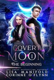 The Beginning (Covert Moon Book 1)