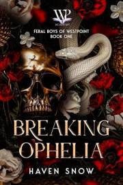 Breaking Ophelia: Feral Boys of Westpoint: Book One