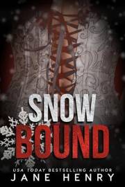 Snowbound: A Dark Standalone Holiday Romance