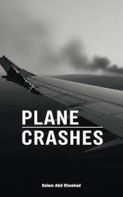 Plane Crashes: 100 True Stories of Aviation Disasters (Disasters & Accidents)