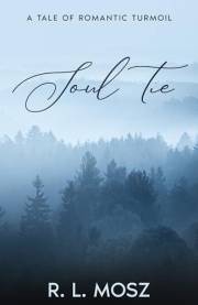 Soul Tie: A Tale of Romantic Turmoil