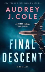 Final Descent: A Novella