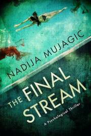 The Final Stream: A Psychological Thriller