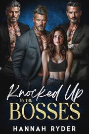 Knocked Up by the Bosses: A Reverse Harem Office Romance - Mile high club book