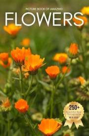 Picture Book of Amazing Flowers: A Calming Collection of Real Nature Photography for Seniors Living with Memory Loss, Alzheim Picture Book of Amazing Flowers: A Calming Collection of Real Nature Photography for Seniors Living with Memory Loss, Alzheim