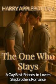 The One Who Stays: A Gay Best-Friends-to-Lovers Stepbrothers Romance