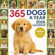 365 DOGS A YEAR® CALENDAR 2026: Adorable Dogs to Brighten Every Day of 2026 365 DOGS A YEAR® CALENDAR 2026: Adorable Dogs to Brighten Every Day of 2026