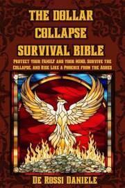 The Dollar collapse survival Bible: Protect your Family and your Mind, Survive the Collapse, and Rise Like a Phoenix from the