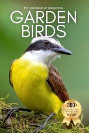 Picture Book of Delightful Garden Birds: A Calming Collection of Real Bird Photography for Seniors Living with Memory Loss, A Picture Book of Delightful Garden Birds: A Calming Collection of Real Bird Photography for Seniors Living with Memory Loss, A