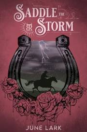 Saddle the Storm: An Annoyed to Lovers, Accidental Marriage Cowboy Romance with Suspense (Thornbrush Ranch, #3)