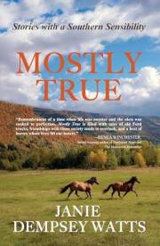 Mostly True: Stories with a Southern Sensibility