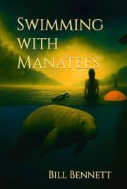 Swimming with Manatees: An Eco-Thriller of Justice and Redemption (Martinez Mysteries)