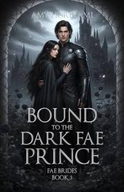 Bound to the Dark Fae Prince (Fae Brides Book 3) Clean Fantasy Romance: Mystical Edition (Fae Brides (Mystical Edition))