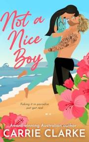 Not a Nice Boy: Faking it in paradise just got real