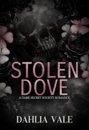 Stolen Dove: A Dark Secret Society Romance