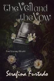 The Veil and the Vow (The Veil Series Book 1)