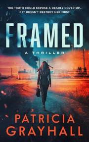 Framed: A Thriller
