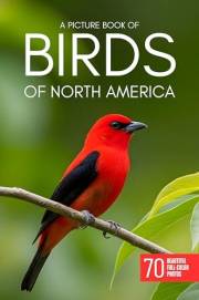 A Picture Book of Birds of North America: 70 Beautiful Bird Photos for Seniors and People Living with Alzheimer’s or Dementia