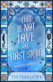 This Is Not Love at First Sight: A Cozy Fantasy Romance (Brothers of Fairwitch Isle)