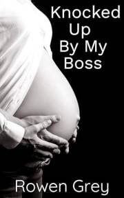 Knocked Up By My Boss: A Possessive Fade-to-Black Romance Novella