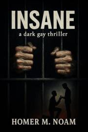 INSANE: A Dark Gay Romance Thriller