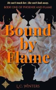 Bound by Flame: Book 1 in the Phoenix and Flame series