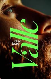 VALLE: Cuando Huir es el Comienzo — Romance gay en el sur de Brasil (Spanish Edition)