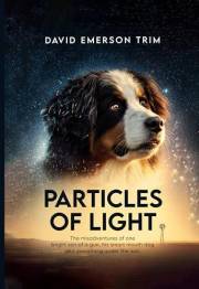 Particles of Light: The misadventures of one bright son of a gun, his smart mouth dog and everything under the sun.