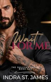 Wait For Me: An Enemies to Lovers, Second Chance, Billionaire Romance : The Sullivan Empire