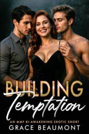 Building Temptation: An MMF Bi-awakening Erotic Romance (Building Our Life Book 1)