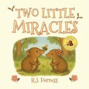 Two Little Miracles (Little Bedtime Stories Book 2)