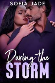During the Storm: A Small Town, Second Chance, Roommates, Mistaken Identity Romance (Brookhaven Lake Book 3)