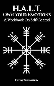 H.A.L.T. Own Your Emotions: A Workbook On Self-Control (Becoming A Hero 3)