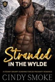 Stranded in the Wylde: A Steamy Grumpy Sunshine Forced Proximity Romance (Wylde Mountain Rescue Book 1)