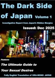 The Dark Side of Japan: Underground Stories and Investigative Reports on Crime, Sex, Poverty, and Taboo Culture (Vol. 1) (The