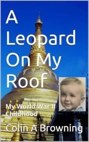 A Leopard On My Roof: My World War II Childhood
