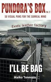 PUNDORA'S BOX vol.2: 50 VISUAL PUNS FOR THE SURREAL MIND