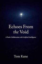 Echoes From the Void (The Void Series Book 1)