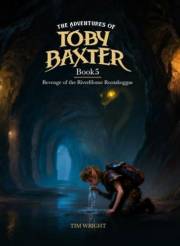 The Adventures Of Toby Baxter Book 5: Revenge of The RiverHome Rootabeggas