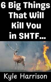 6 Big Things That Will Kill You In SHTF…: …That You Didn’t Think About (Preparedness Post with Kyle Harrison Book 9)