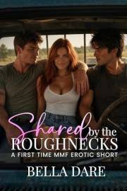 Shared by the Roughnecks: A First Time MMF Short (Sharing Him: MMF Bi Awakening Shorts)