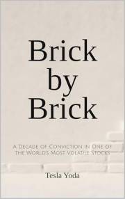 Brick by Brick: A Decade of Conviction in One of the World’s Most Volatile Stocks