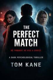 The Perfect Match (The Noir Series Book 1)