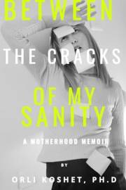 Between the Cracks of My Sanity
