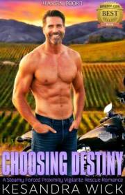 Choosing Destiny: A Steamy Forced Proximity Vigilante Rescue Romance (H.A.V.E.N. Hidden Ally Vigilante Extraction Network Boo
