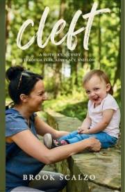 Cleft: A mother's journey through fear, advocacy and love.