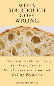 When Sourdough Goes Wrong: A Practical Guide to Fixing Sourdough Starter, Dough, Fermentation and Baking Problems